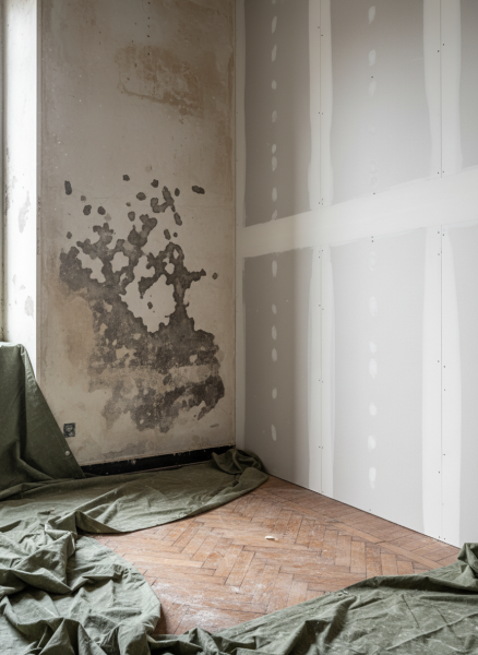 Remise en état après dégât des eaux avec peinture murs et plafonds à Marseille 13006