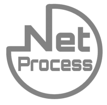 Logo NET PROCESS